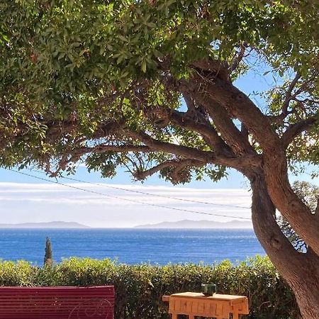 Bed and Breakfast L'Arbousier Le Le Rayol-Canadel-sur-Mer Zewnętrze zdjęcie